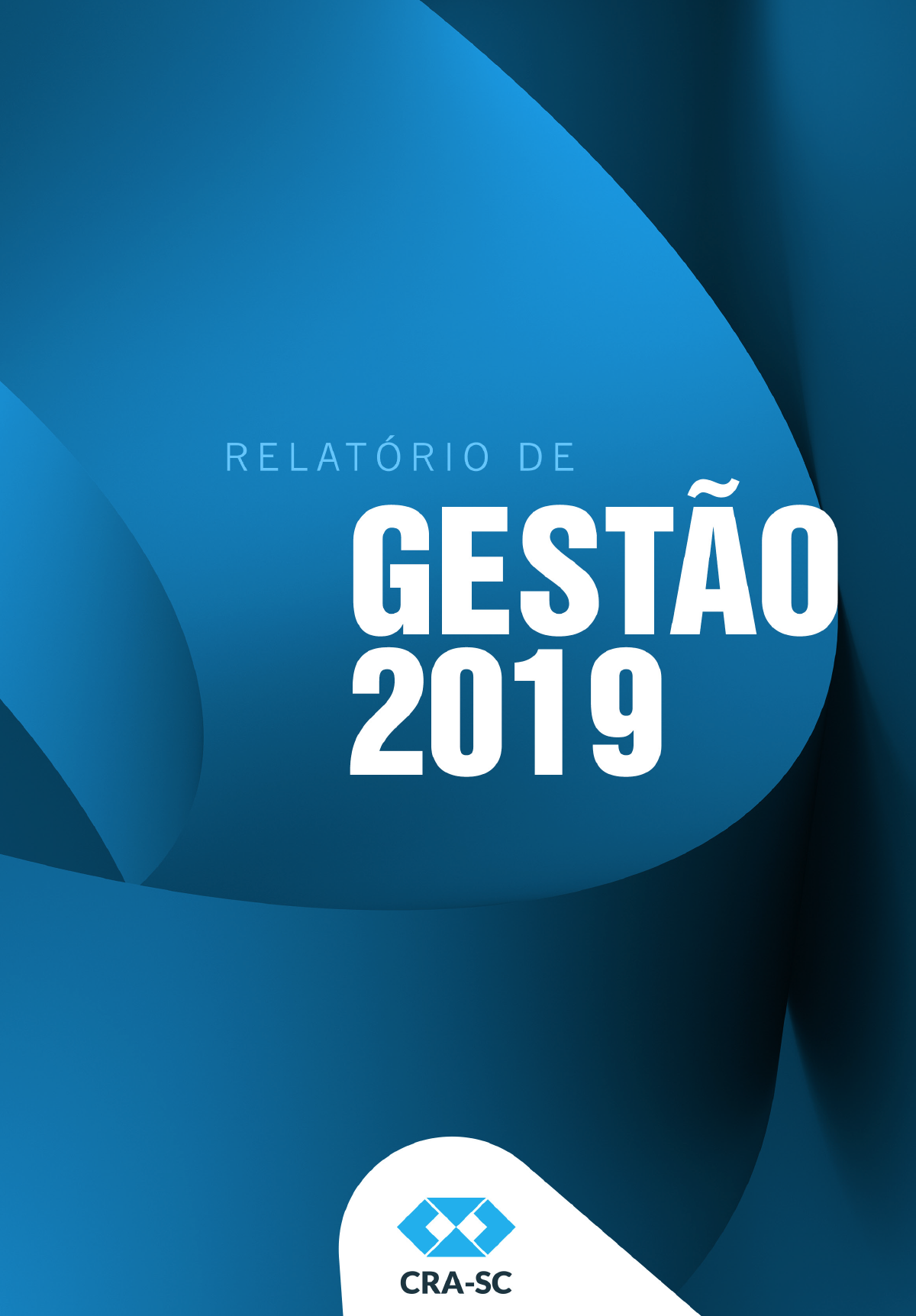 Read more about the article Relatório de Gestão 2019