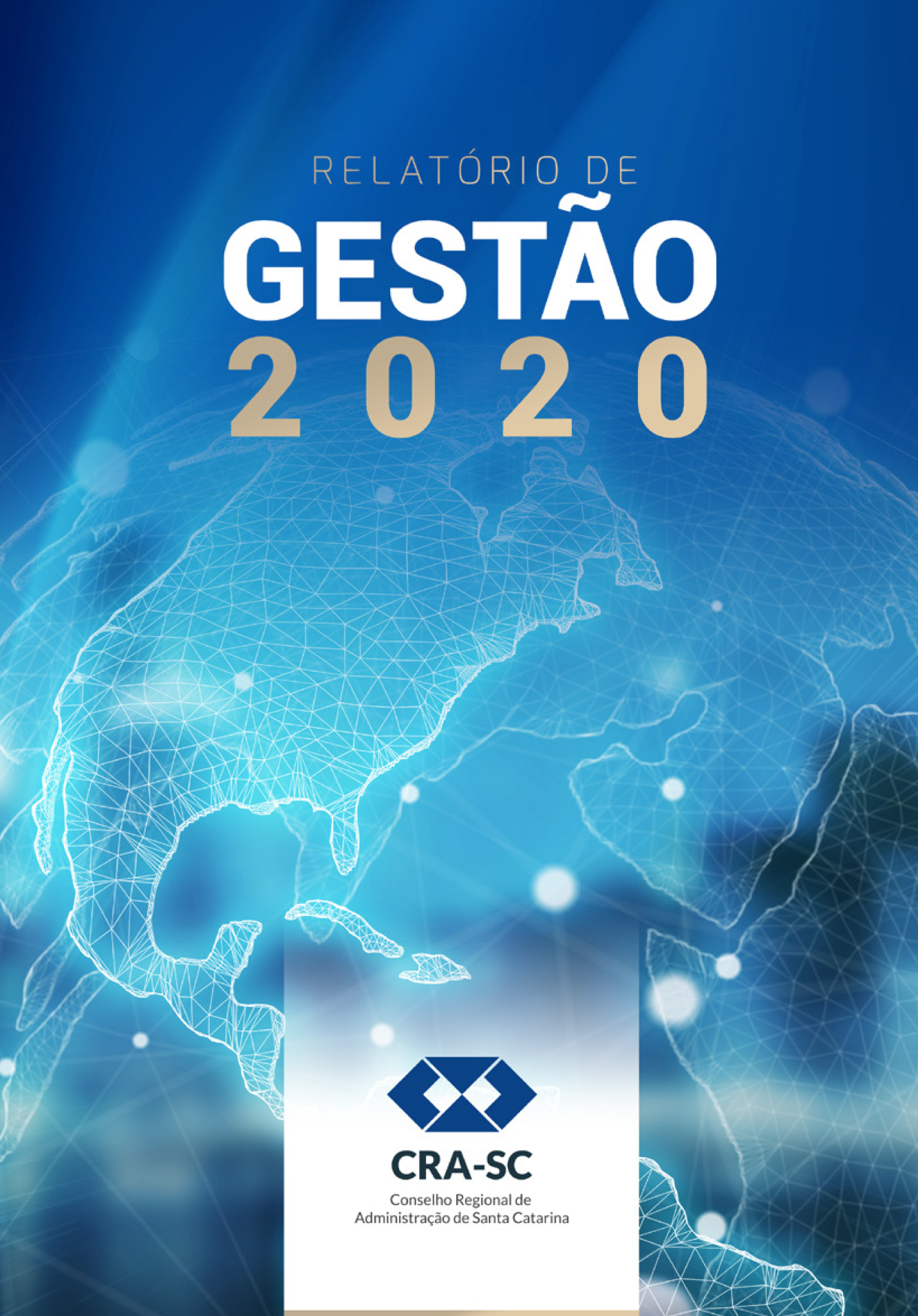 Read more about the article Relatório de Gestão 2020