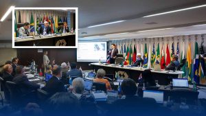 Read more about the article Reunião plenária movimenta o CFA