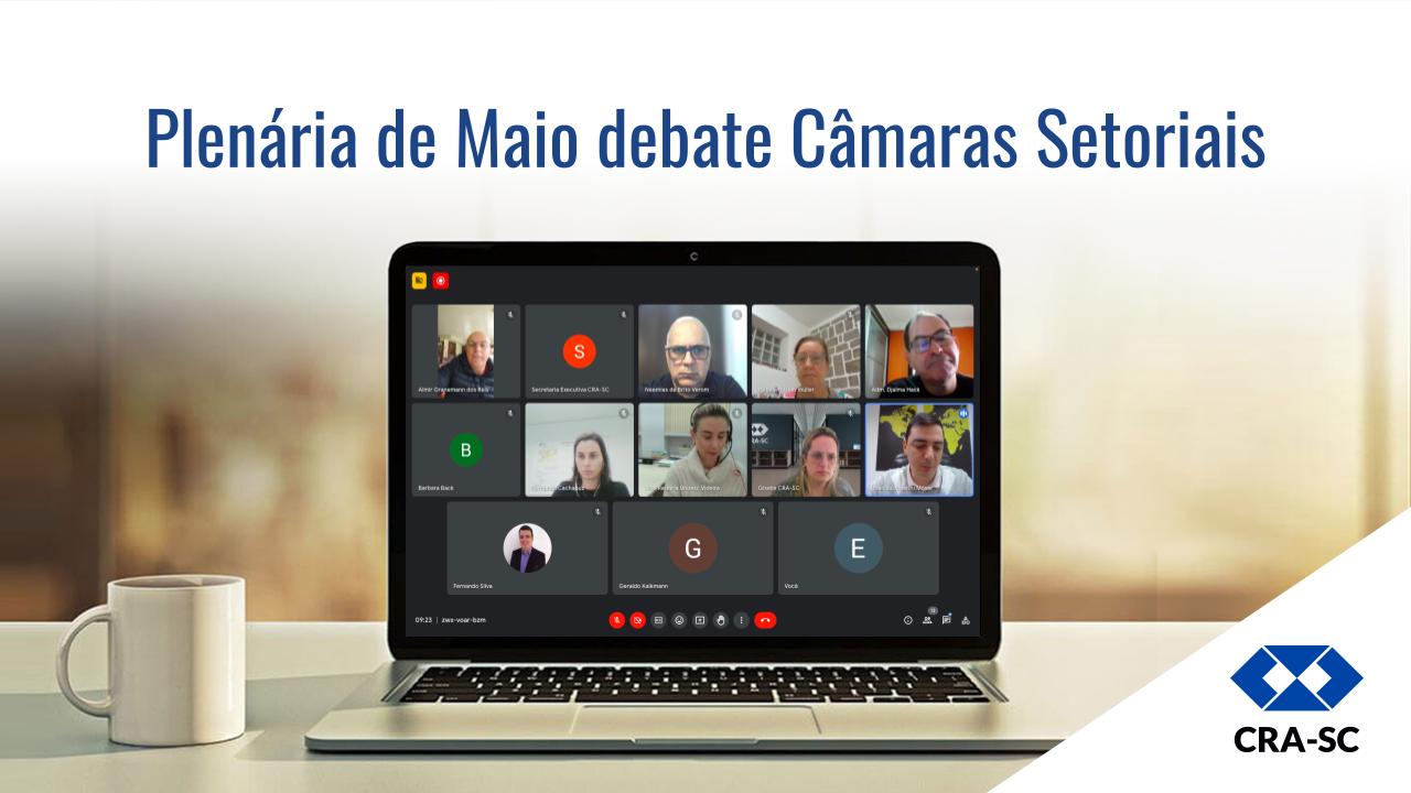 You are currently viewing <strong>Plenária de Maio debate Câmaras Setoriais</strong>