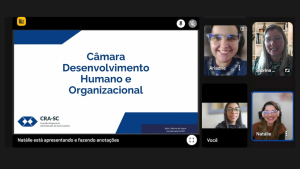 Leia mais sobre o artigo Câmara de Desenvolvimento Humano e Organizacional realiza sua 1ª reunião