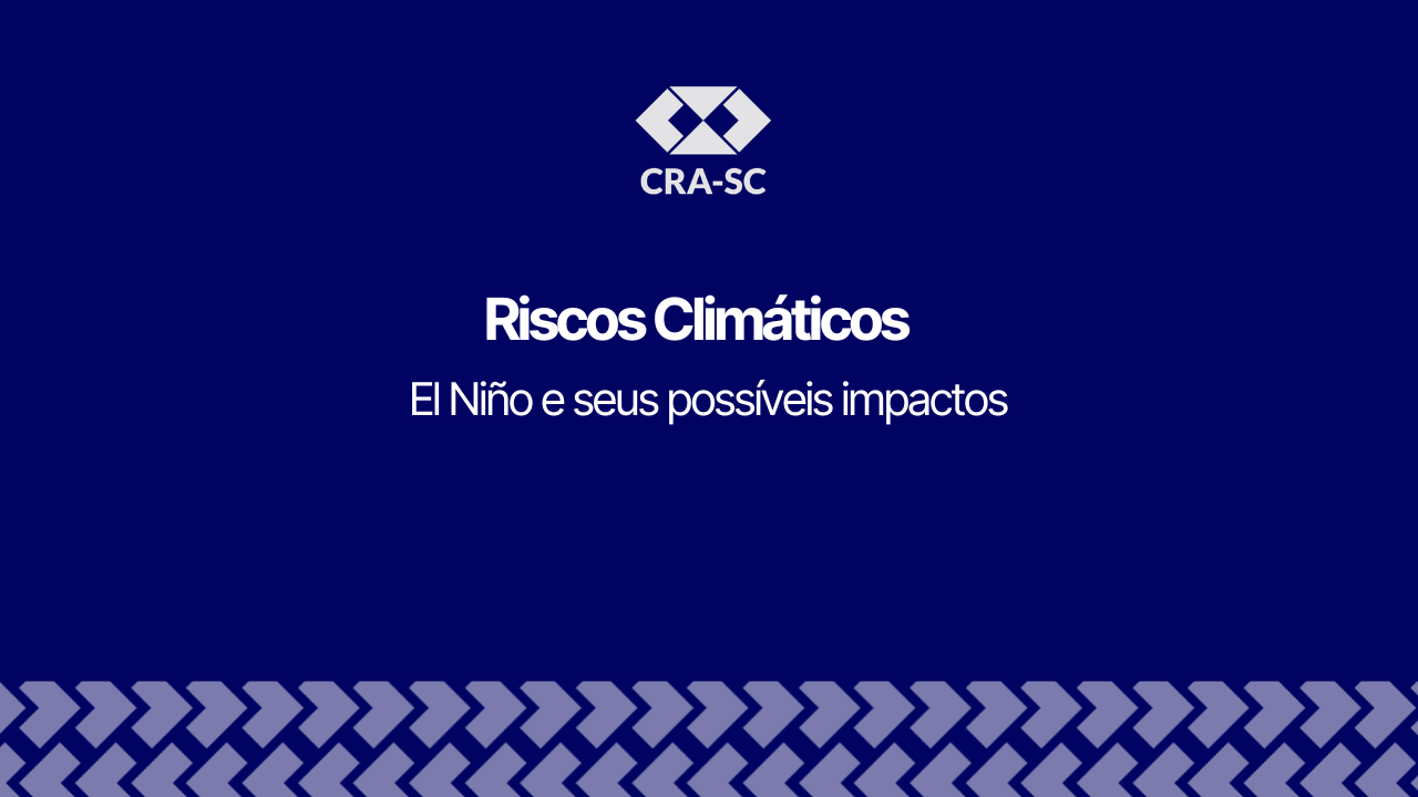 No momento, você está visualizando Câmara Setorial de Defesa Civil do CRA-SC orienta sobre preparo para riscos climáticos
